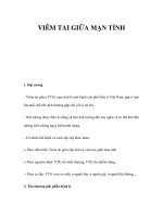 VIÊM TAI GIỮA MẠN TÍNH pot