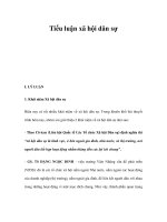 Tiểu luận xã hội dân sự pptx