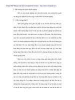 Đầu tư nâng cao năng lực kinh doanh tại Cty tư vấn xây dựng Sông Đà - 3 ppsx