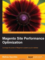 magento site performance optimization