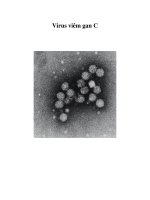 Virus viêm gan C ppsx
