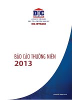 BÁO cáo THƯỜNG NIÊN 2013 công ty cổ phần đầu tư thương mại dic DIC INTRACO