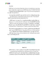 Giáo trình phân tích khả năng ứng dụng cấu tạo trong giao thức kết tuyến chuẩn IETF p10 ppt