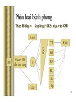 Bài giảng bệnh phong part 6 ppt