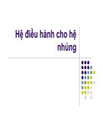 Hệ điều hành cho hệ nhúng doc