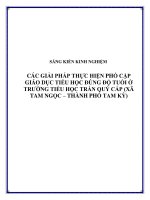 skkn các giải pháp thực hiện phổ cập giáo dục tiểu học đúng độ tuổi ở trường tiểu học trần quý cáp (xã tam ngọc – thành phố tam kỳ)