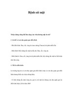 Bệnh sỏi mật doc