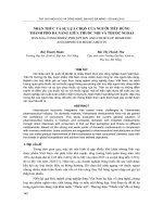 Báo cáo nghiên cứu khoa học: 