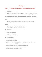 Giáo án lớp 4: Khoa học: VAI TRÒ CỦA HỆ THẦN KINH ĐỐI VỚI CƠ THỂ ppt