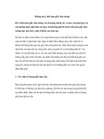 Những lưu ý khi mua giấy dán tường ppt