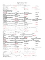 ĐỀ THI THỬ NĂM 2011 MÔN: ANH VĂN – ĐỀ 2 pdf