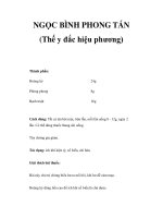 NGỌC BÌNH PHONG TÁN (Thế y đắc hiệu phương) pdf