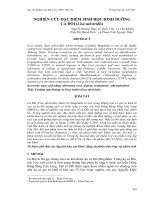 Báo cáo nghiên cứu khoa học: 