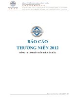 BÁO cáo THƯỜNG NIÊN 2012 CÔNG TY cổ PHẦN hữu LIÊN á CHÂU HLAC