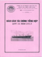 CÔNG TY cổ PHẦN vận tải và THUÊ tàu BIỂN VIỆT NAM báo cáo tài chính tổng hợp qúy II năm 2013