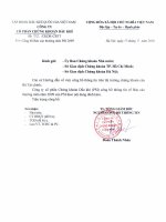 công ty cổ phần chứng khoán dầu khí báo cáo thường niên năm 2009