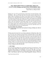 Báo cáo nghiên cứu khoa học: 