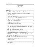Thực trạng và những giải pháp nhằm nâng cao hiệu quả công tác xóa đói giảm nghèo tại huyện Lục Nam – tỉnh Bắc Giang