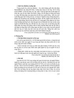 Thiết kế bài giảng lịch sử 6 part 10 docx