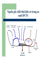 Bệnh học thủy sản : BIỆN PHÁP PHÒNG BỆNH TỔNG HỢP TRONG NUÔI TRỒNG THỦY SẢN part 5 doc