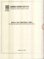 báo cáo thường niên tên công ty đại chúng công ty cổ phần chứng khoán dầu khí năm 2012