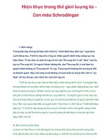 Hiện thực trong thế giới lượng tử Con mèo Schrodinger potx