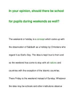 In your opinion, should there be schoolfor pupils during weekends as well? pptx