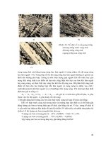 Giáo trình hướng dẫn phân tích quy trình vận dụng cấu tạo mạng hợp tinh thể của kim loại nguyên chất p10 ppsx