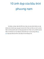 10 ảnh đẹp của bầu trời phương nam pps