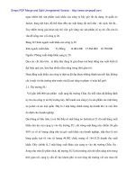 Ứng dụng Marketing Mix trong hoạt động Xuất khẩu tại Cty 20 - p3 potx