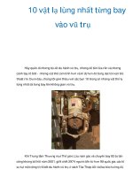 10 vật lạ lùng nhất từng bay vào vũ trụ pptx