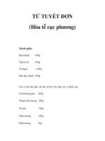 TỬ TUYẾT ĐƠN (Hòa tễ cục phương) pdf