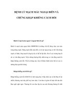 BỆNH LÝ MẠCH MÁU NGOẠI BIÊN VÀ CHỨNG KHẬP KHIỄNG CÁCH HỒI docx