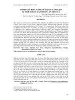 Báo cáo nghiên cứu khoa học: 