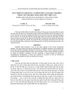 Báo cáo nghiên cứu khoa học: 