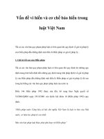 Vấn đề vi hiến và cơ chế bảo hiến trong luật Việt Nam pdf