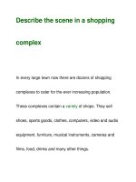 Describe the scene in a shoppingcomplex pdf