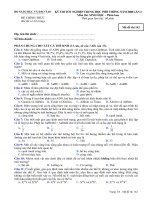 KỲ THI TỐT NGHIỆP TRUNG HỌC PHỔ THÔNG NĂM 2008 Môn thi: SINH HỌC, mã đề 142 pps