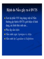 Bệnh học thủy sản : Bệnh do nấm part 1 doc