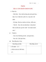 Giáo án lớp 4: Tập đọc: CON CHUỒN CHUỒN NƯỚC pot