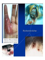 Bệnh học thủy sản : Bệnh do vi khuẩn part 3 potx