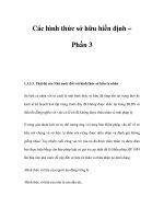 Các hình thức sở hữu hiến định – Phần 3 pps