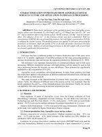 Báo cáo nghiên cứu khoa học: 