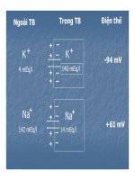 Bài giảng trao đổi chất qua màng tế bào part 6 pptx