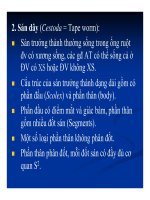 Bệnh học thủy sản : Bệnh nội ký sinh trùng part part 2 ppt