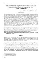 Báo cáo nghiên cứu khoa học: 