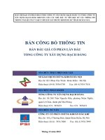 BẢN CÔNG bố THÔNG TIN bán đấu GIÁ cổ PHẦN lần đầu TỔNG CÔNG TY xây DỰNG BẠCH ĐẰNG tổ CHỨC THỰC HIỆN đấu GIÁ tổ CHỨC PHÁT HÀNH tổ CHỨC tư vấn tháng 12 năm 2013