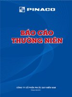 BÁO cáo THƯỜNG NIÊN CÔNG TY cổ PHẦN PIN ắc QUY MIỀN NAM tháng 5 năm 2011