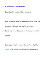 A fire accident I have witnessed docx