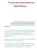 Tại sao nam châm không hút thép không gỉ pdf